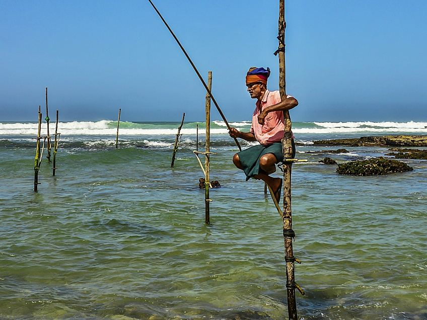 Rybář na kůlu (Srí Lanka)