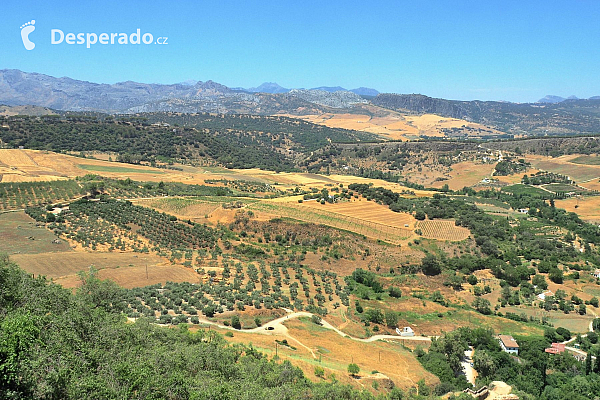 Ronda (Španělsko)