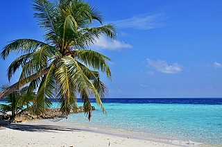 Písečná pláž (Maledivy)