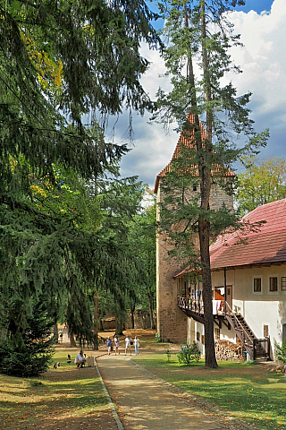 Hrad Zvíkov (Česká republika)