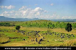 Planina džbánů (Laos)
