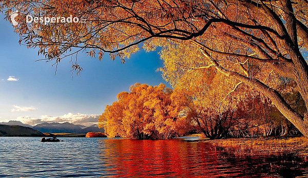 Jezero Tekapo (Nový Zéland)