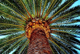 San Benedetto del Tronto (Itálie)