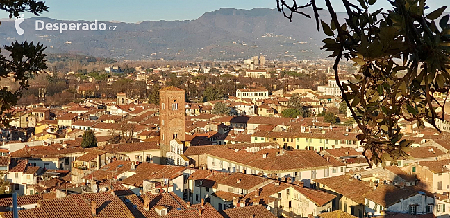 Pohled na Luccu z Torre Guinigi (Itálie)