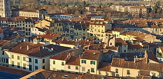 Pohled na Piazza dell'Anfiteatro z Torre Guinigi v Lucca (Itálie)
