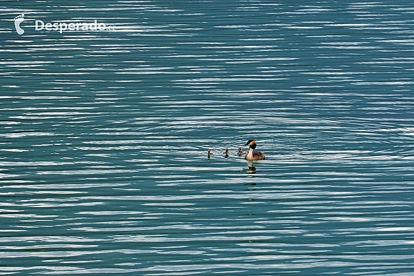 Techendorf a jezero Weissensee v Korutanech (Rakousko)