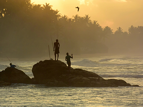 Exotika na Srí Lance nabízí spoustu zážitků blízko rovníku