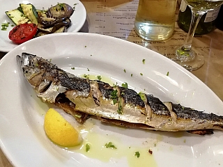 Grilovaná makrela (Sicílie - Itálie)