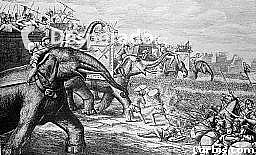 Váleční sloni Kartaginců