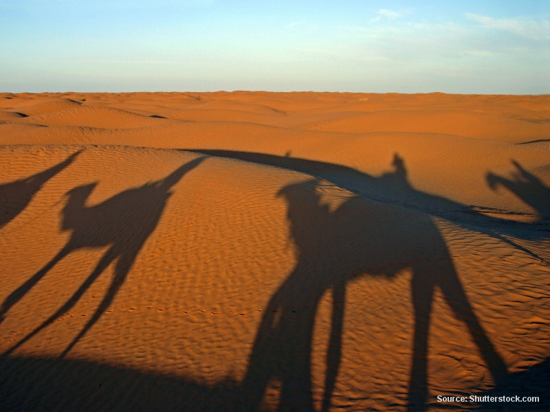 Velbloudi v poušti při západu slunce (Tunisko)