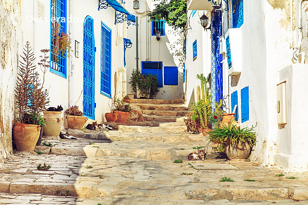 Sidi Bou Said (Tunisko)