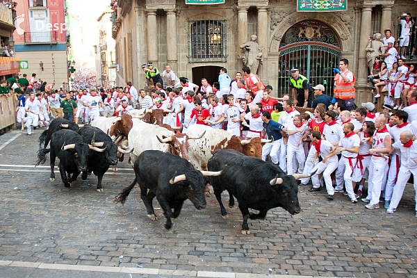 Pamplona (Španělsko)