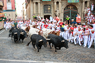 Pamplona (Španělsko)