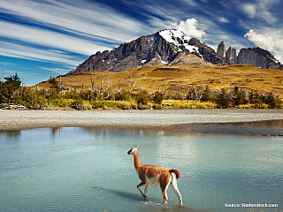 Punta Arenas (Chile)