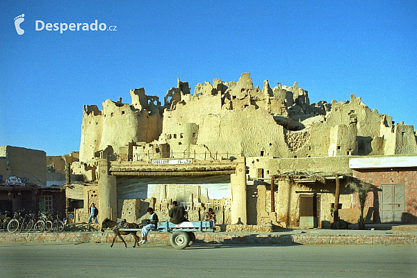 Siwa (Egypt)