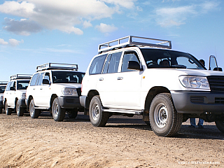Terénní auta před cestou do pouště (Tunisko)