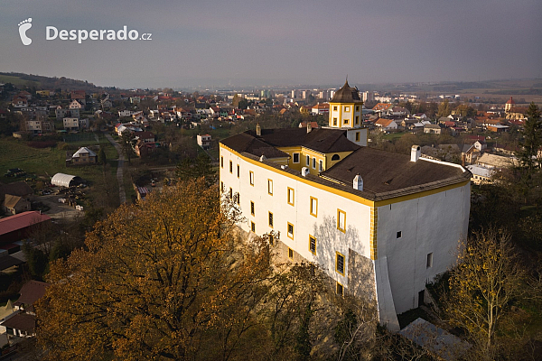 Hrad Malenovice (Česká republika)