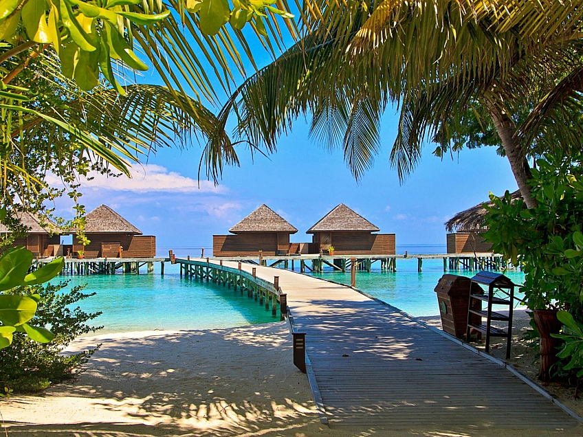 A co tak ostrovní ráj Maledivy?