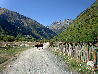 Oblast Svaneti (Gruzie)