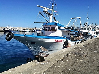 Starších rybářských lodí je zde plný přístav (Santa Flavia - Sicílie - Itálie)