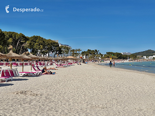 Port d´Alcúdia (ostrov Mallorka - Španělsko)