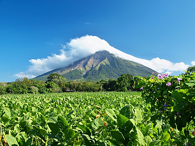 Plantáž tabáku a sopka (Nikaragua)