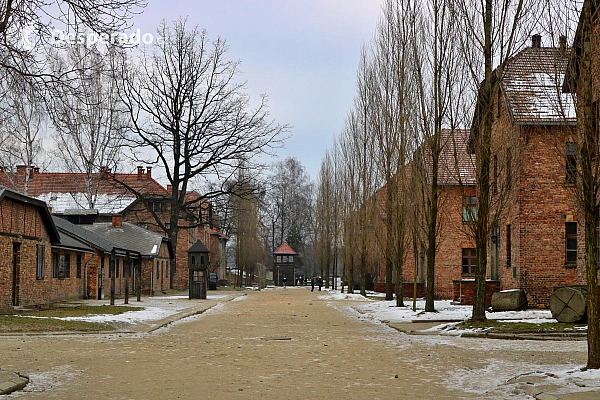 Návštěva Osvětimi je smutná, avšak žádoucí, aby si lidé uvědomili, jaké činy tu byly v minulosti na-páchány a jaké to mělo následky (Auschwitz Osvětim - Polsko)