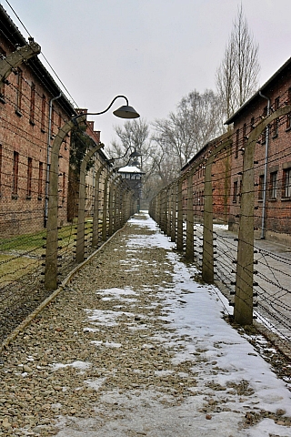 Ostnaté dráty, které hraničí celý bývalý koncentrační tábor (Auschwitz Osvětim - Polsko)