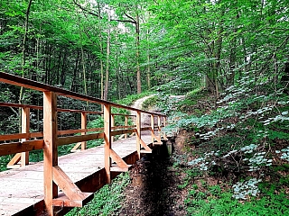 Dřevěný most v Bělském lese (Ostrava - Česká republika)