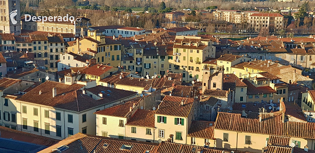 Pohled z věže Torre Guinigi v Lucca (Toskánsko - Itálie)