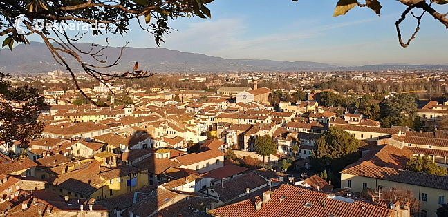 Pohled z věže Torre Guinigi v Lucca (Toskánsko - Itálie)