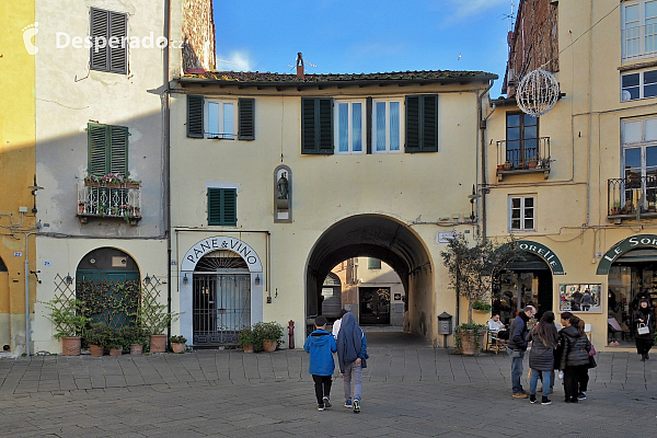 Oválné náměstí Piazza dell'Anfiteatro v Lucca (Toskánsko - Itálie)