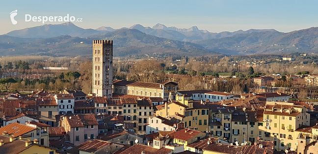 Pohled z věže Torre Guinigi v Lucca (Toskánsko - Itálie)