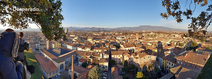 Pohled z věže Torre Guinigi v Lucca (Toskánsko - Itálie)