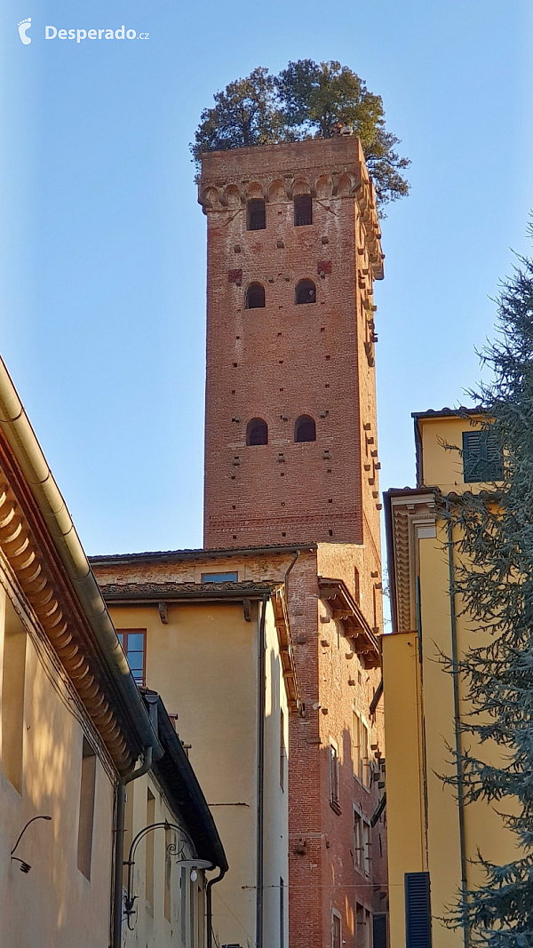 Věž Torre Guinigi v Lucca (Toskánsko - Itálie)