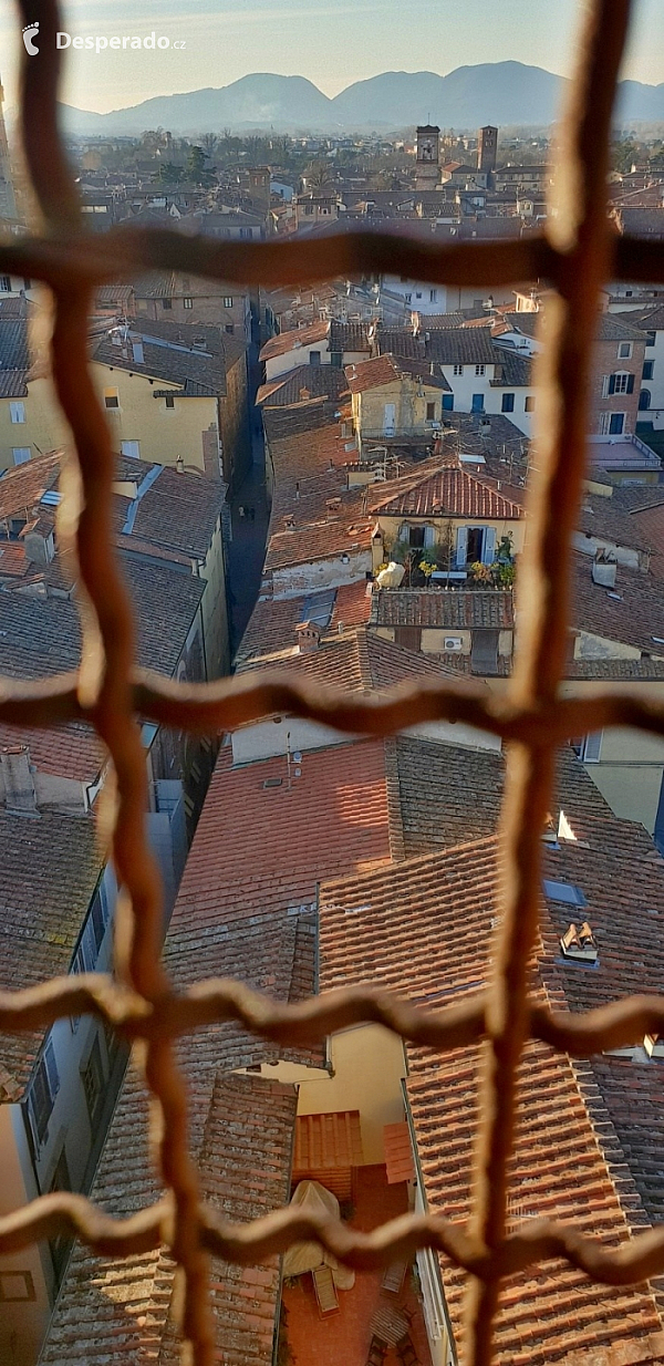 Věž Torre Guinigi v Lucca (Toskánsko - Itálie)