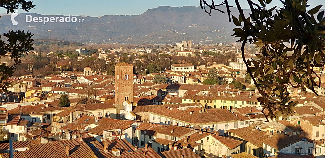 Pohled z věže Torre Guinigi v Lucca (Toskánsko - Itálie)