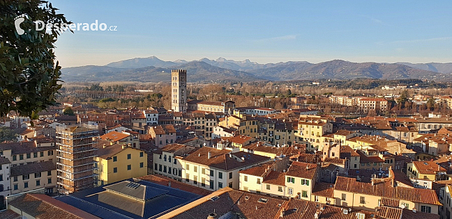 Pohled z věže Torre Guinigi v Lucca (Toskánsko - Itálie)