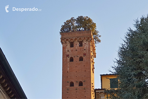 Věž Torre Guinigi v Lucca (Toskánsko - Itálie)