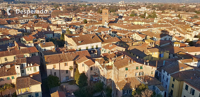 Pohled z věže Torre Guinigi v Lucca (Toskánsko - Itálie)