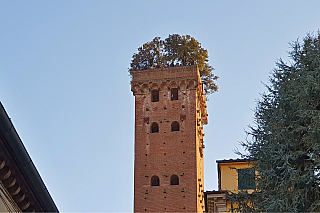 Věž Torre Guinigi v Lucca (Toskánsko - Itálie)