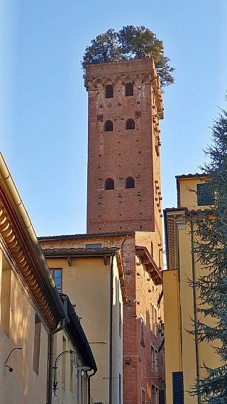 Věž Torre Guinigi v Lucca (Toskánsko - Itálie)