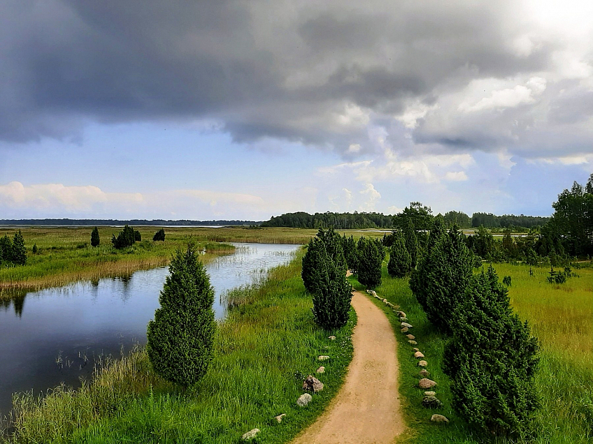 Výhled z pozorovatelny uprostřed močálů (Jūrmala - Lotyšsko)