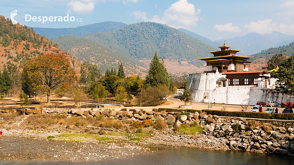 Tradiční architektura (Bhútán)