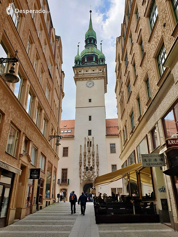 Budova Staré radnice (Brno - Česká republika)