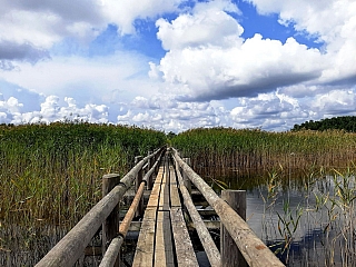 Národní park Ķemeri (Lotyšsko)
