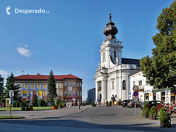 Wadowice (Polsko)