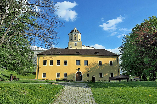 Hrad Malenovice (Česká republika)