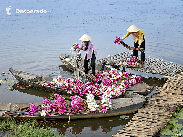 Mekong (Vietnam)