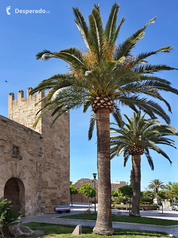 Alcúdia - historické centrum (Mallorca - Španělsko)